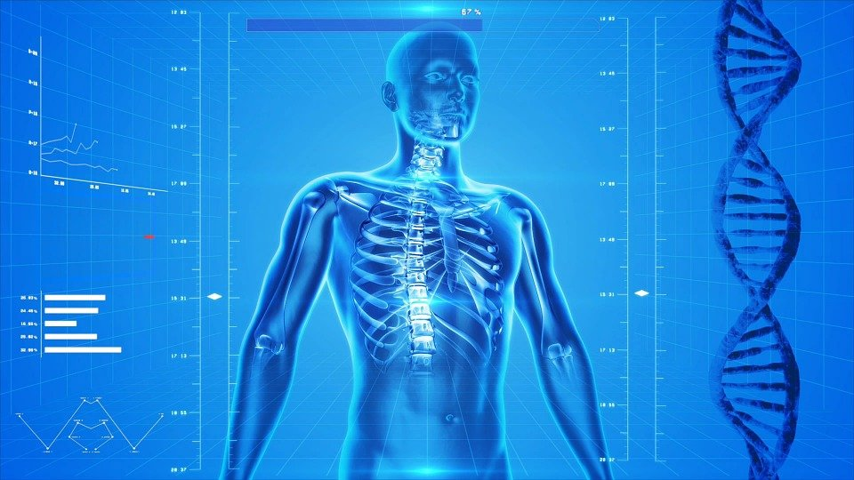 a vector image of a DNA sequence and a human body